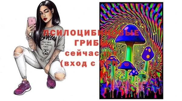мяу мяу кристалл Алексин