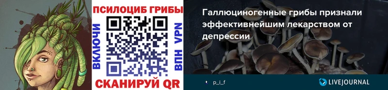 Псилоцибиновые грибы прущие грибы  Енисейск 