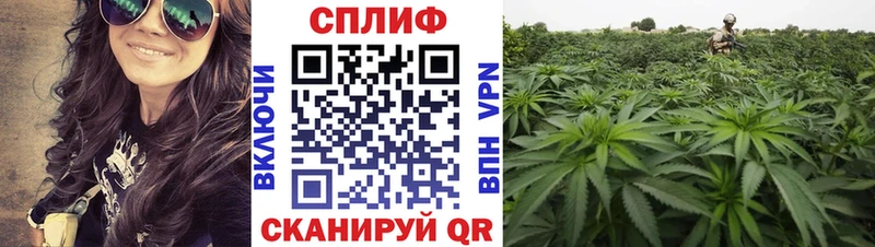 Бошки марихуана Amnesia  Енисейск 